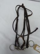 English Citation bridle