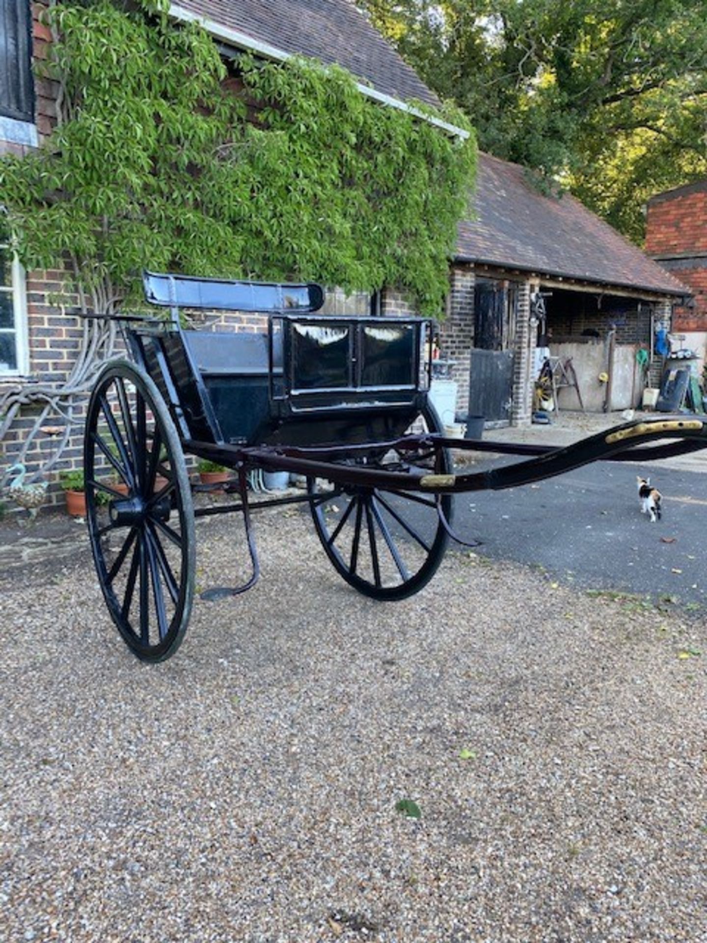 LIVERPOOL GIG built by J.A. Lawton & Co., of Liverpool & London, circa 1908, to suit 15.2 to 16.2hh. - Image 2 of 7