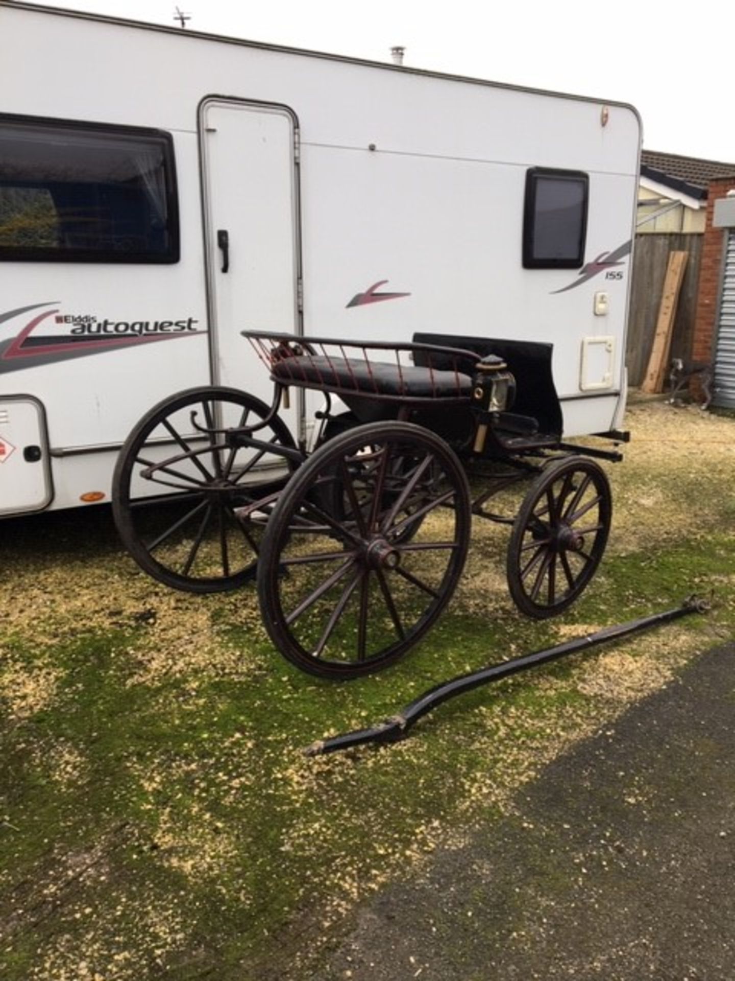 SPIDER PHAETON to suit 12 to 13hh pony. Painted black, on 12-spoke wheels with brass hub caps and e - Image 3 of 3