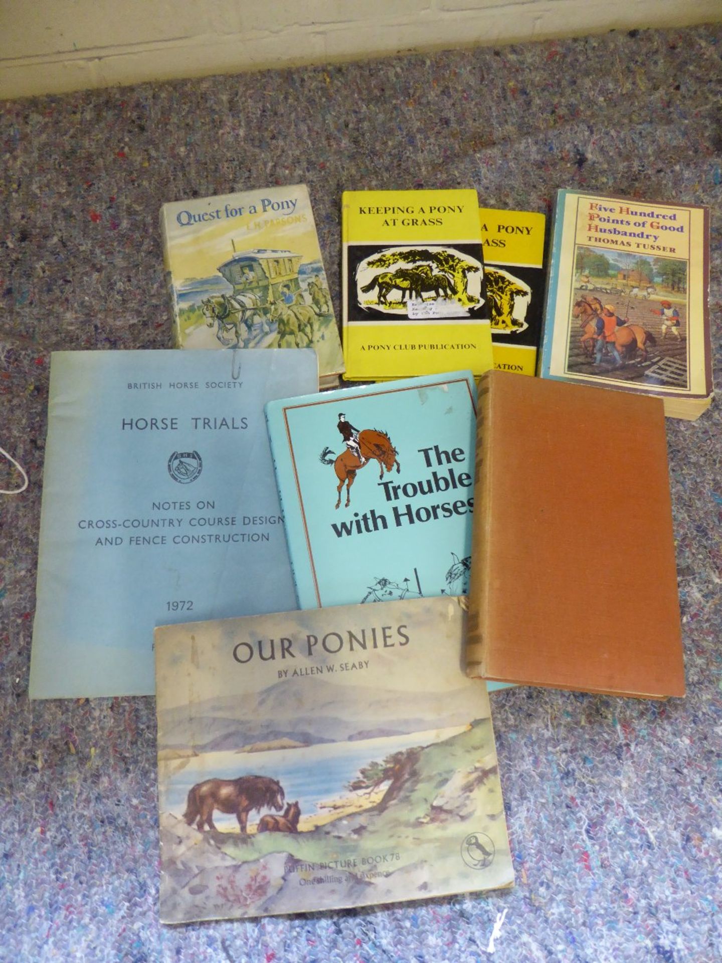 Quantity of 8 assorted equestrian books