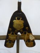Harness decoration with 5 brasses - carries VAT