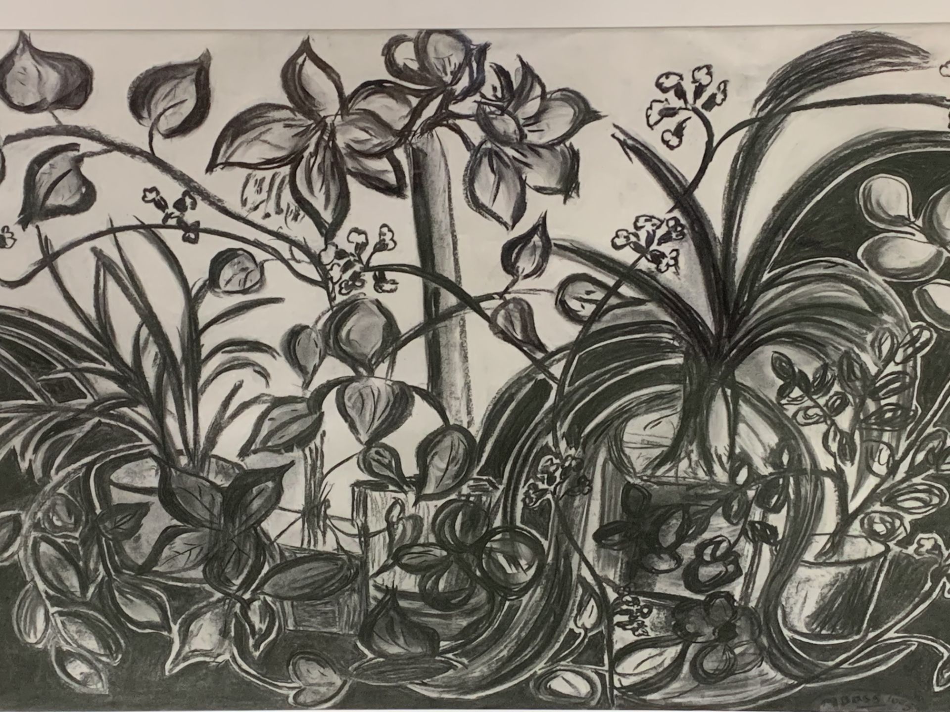A large silver framed and glazed charcoal drawing of plants signed M Bass, and another
