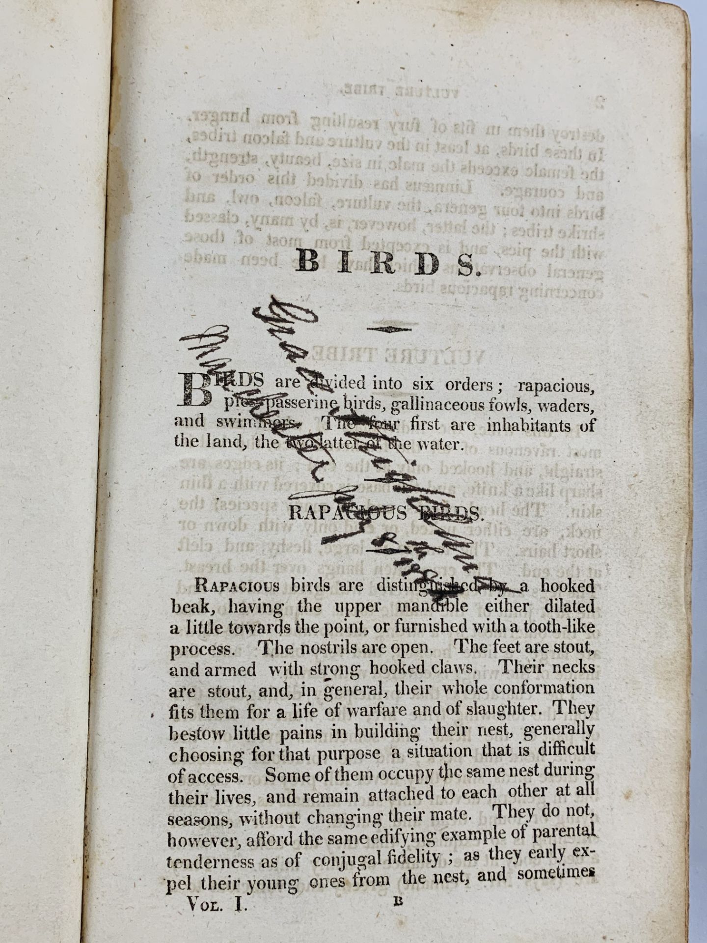 History of Birds, a composite volume made up in text from a two volume work with 88 hand coloured en - Image 3 of 3