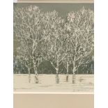 Framed and glazed Japanese wood block print of trees, signed J Hoshi.