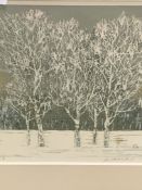 Framed and glazed Japanese wood block print of trees, signed J Hoshi.