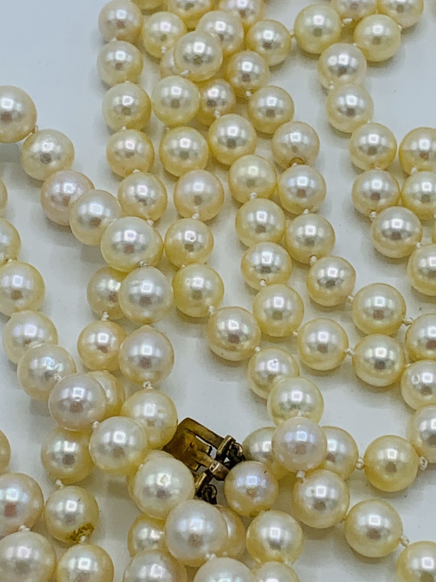 Necklace of 3 ropes of pearls with 9ct gold, sapphire and pearl clasp - Image 3 of 3