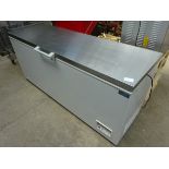 Extra large stainless steel polar chest freezer.