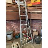 Aluminium pruning step ladder.