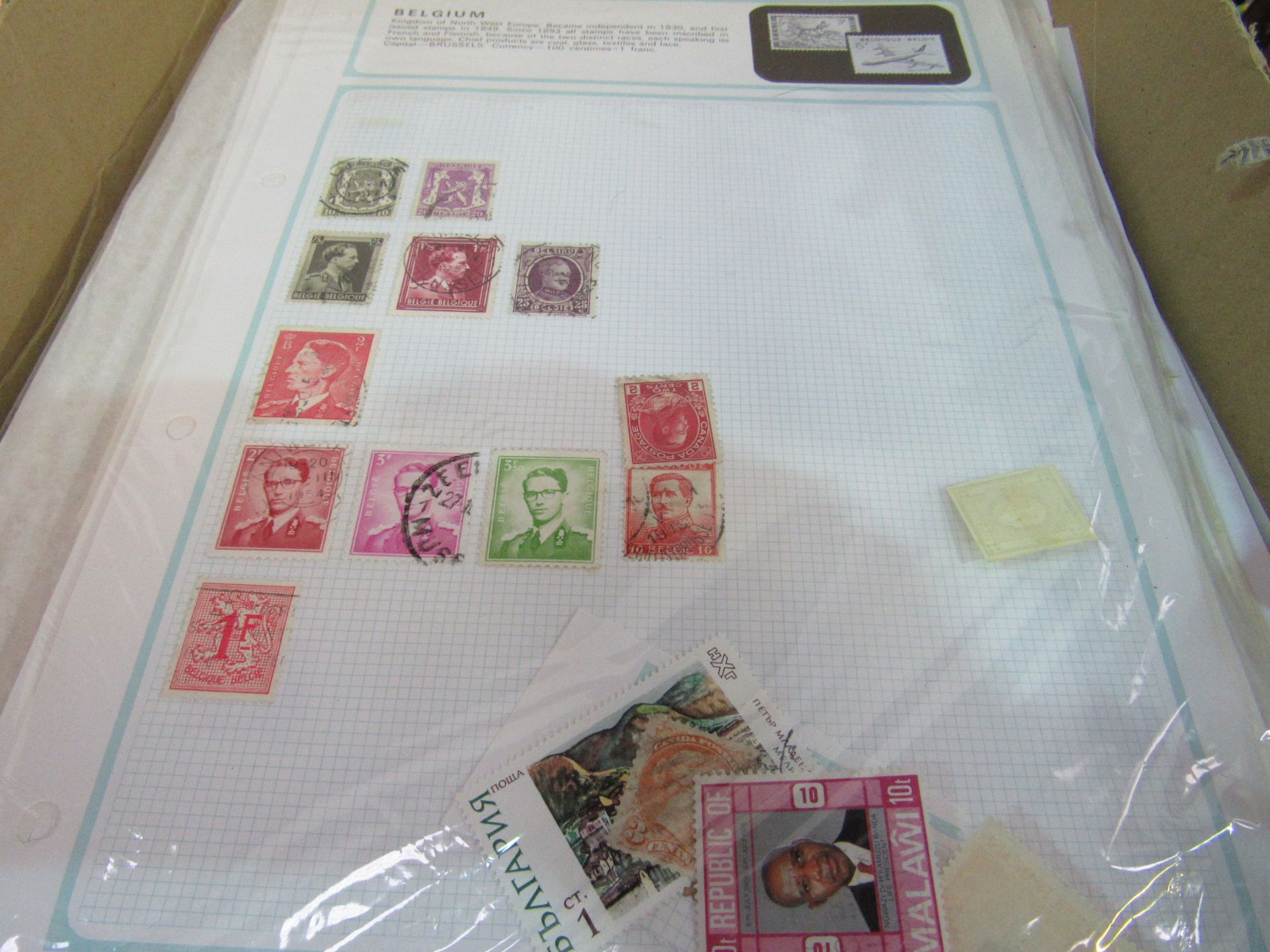 World stamps on pages and 2 stock books, 1000's of stamps. - Image 3 of 3