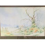 Framed and glazed Mick Grant watercolour landscape