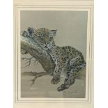 Framed and glazed print of a leopard cub in a tree and a James Dean photograph