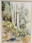 Diane Jarmiker pair of watercolours of woodland and garden