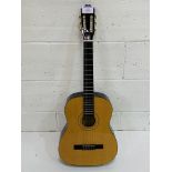 Burswood acoustic guitar and soft case.