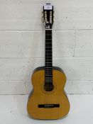 Burswood acoustic guitar and soft case.
