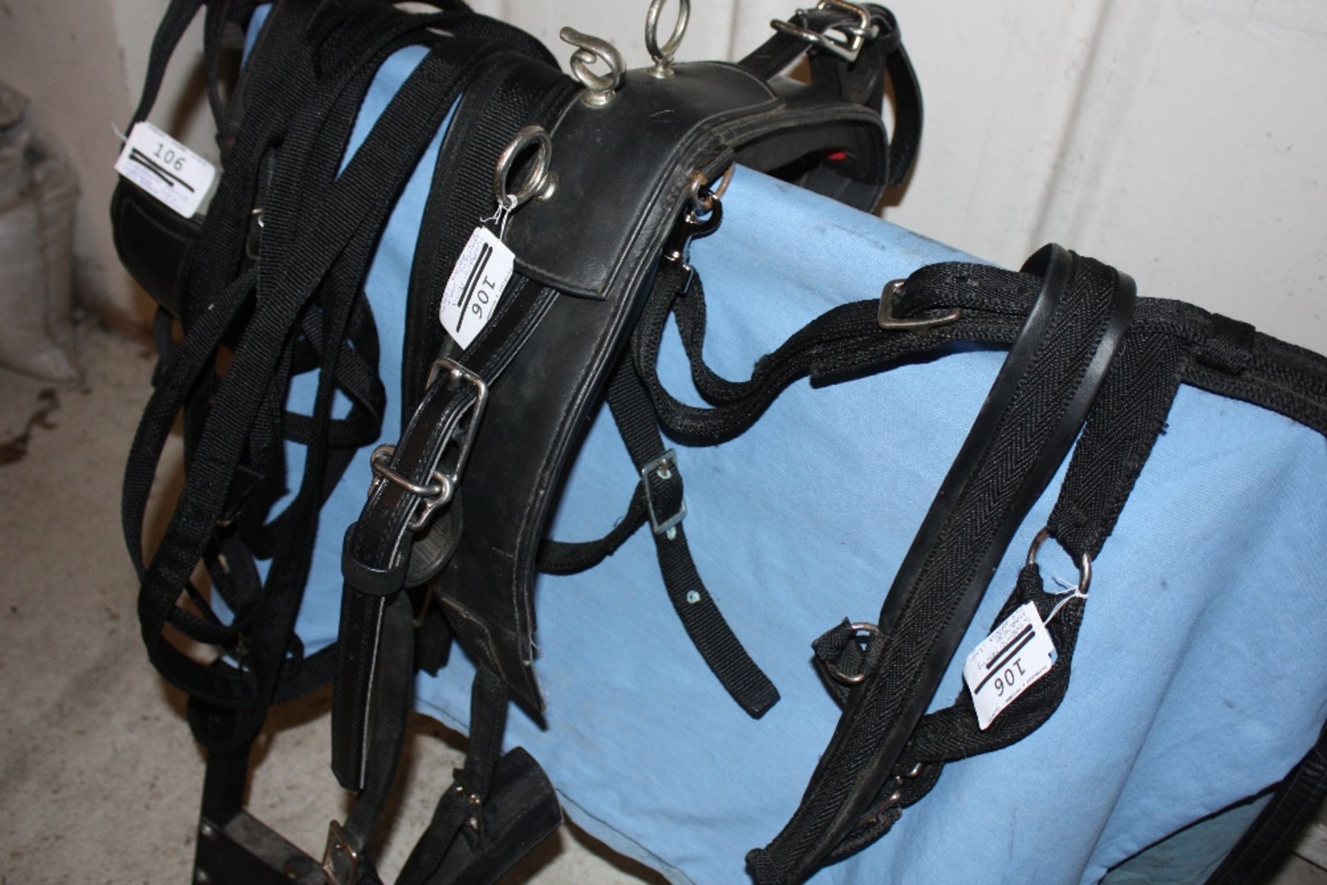 Set of webbing pony harness to suit 11 to 12hh.