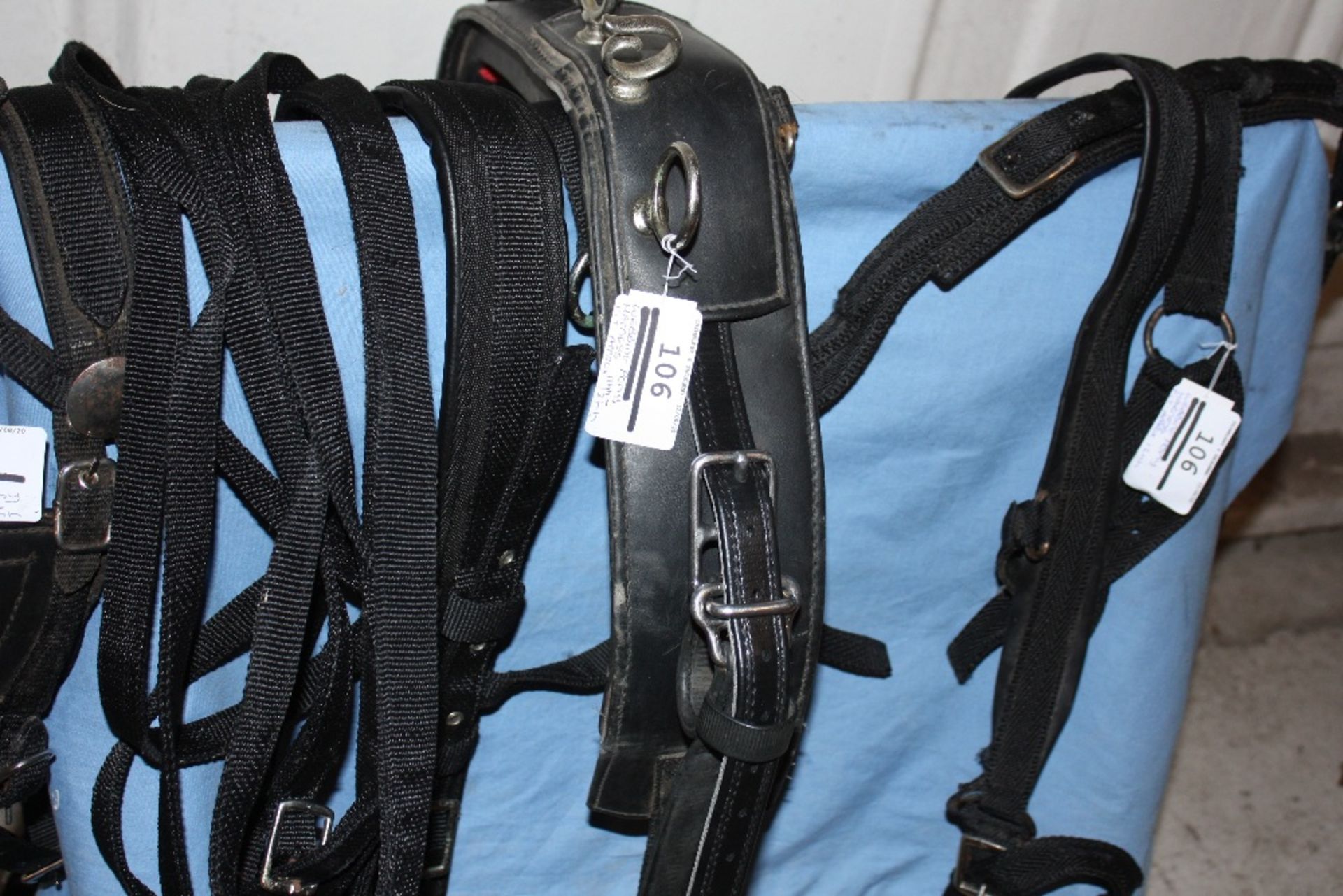 Set of webbing pony harness to suit 11 to 12hh. - Image 3 of 4
