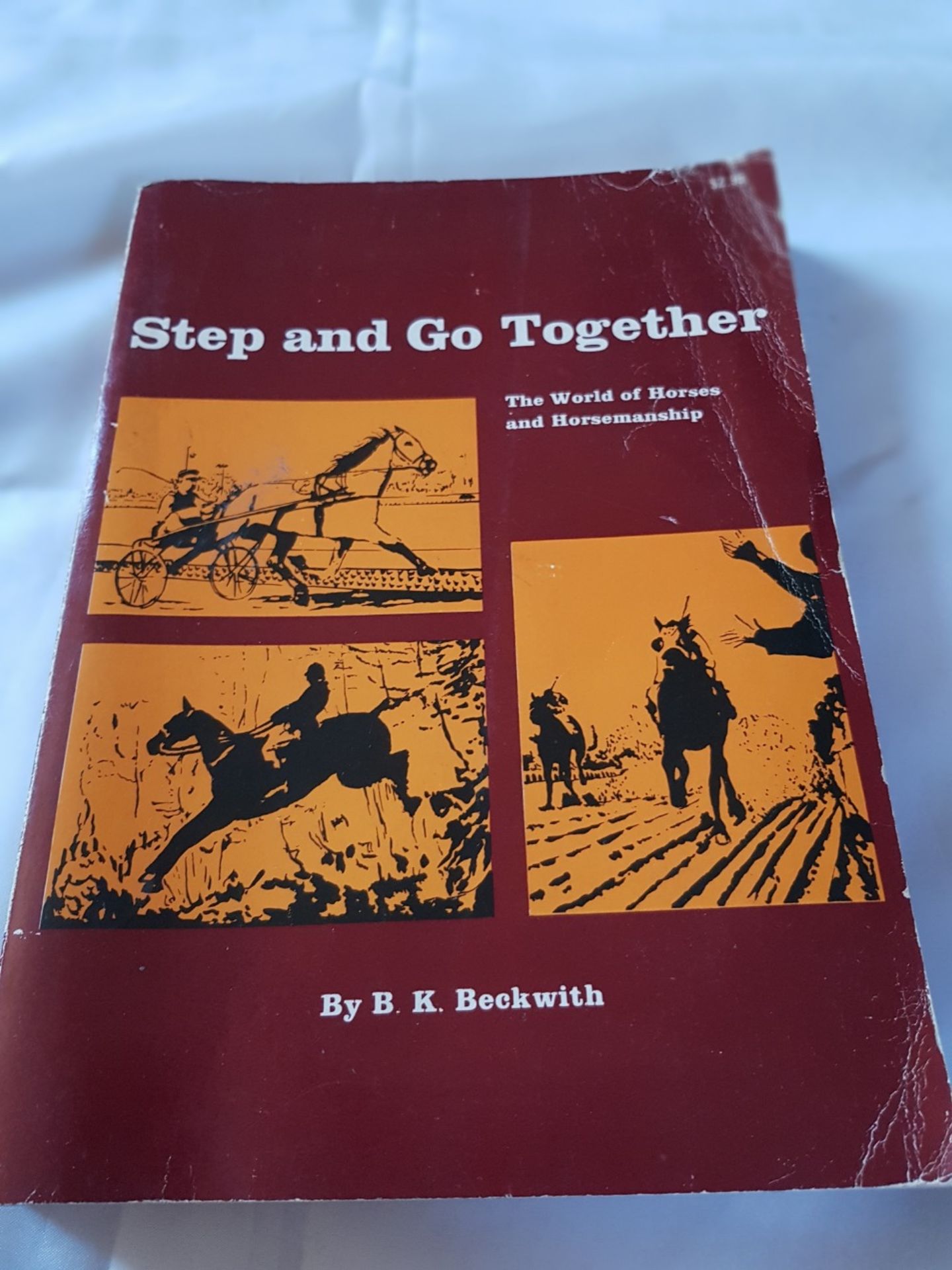 Step and Go Together by B.K. Beckwith