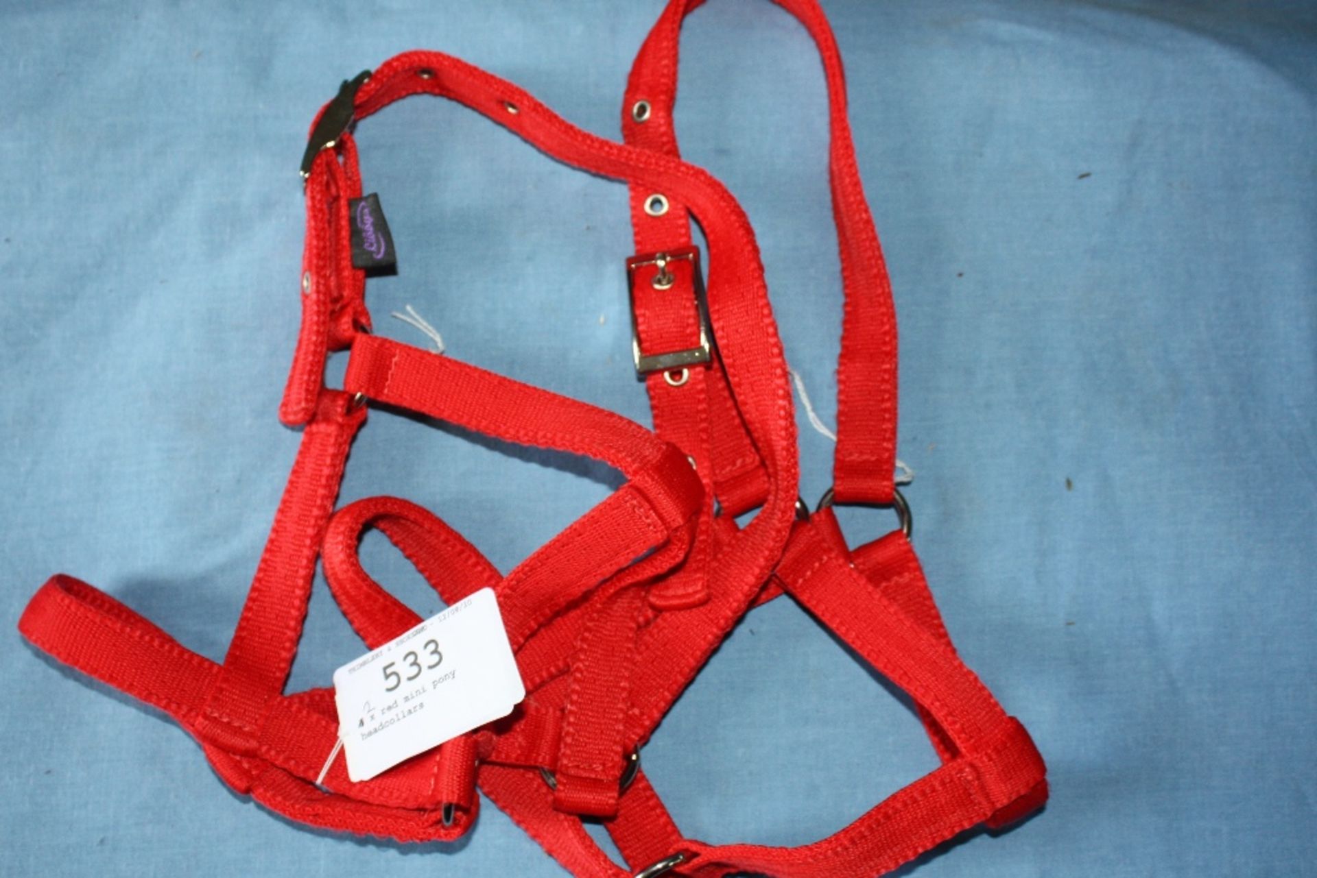 2 red mini pony headcollars