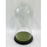 Antique glass cloche on a wooden base, 41 x 20cms.