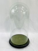 Antique glass cloche on a wooden base, 41 x 20cms.