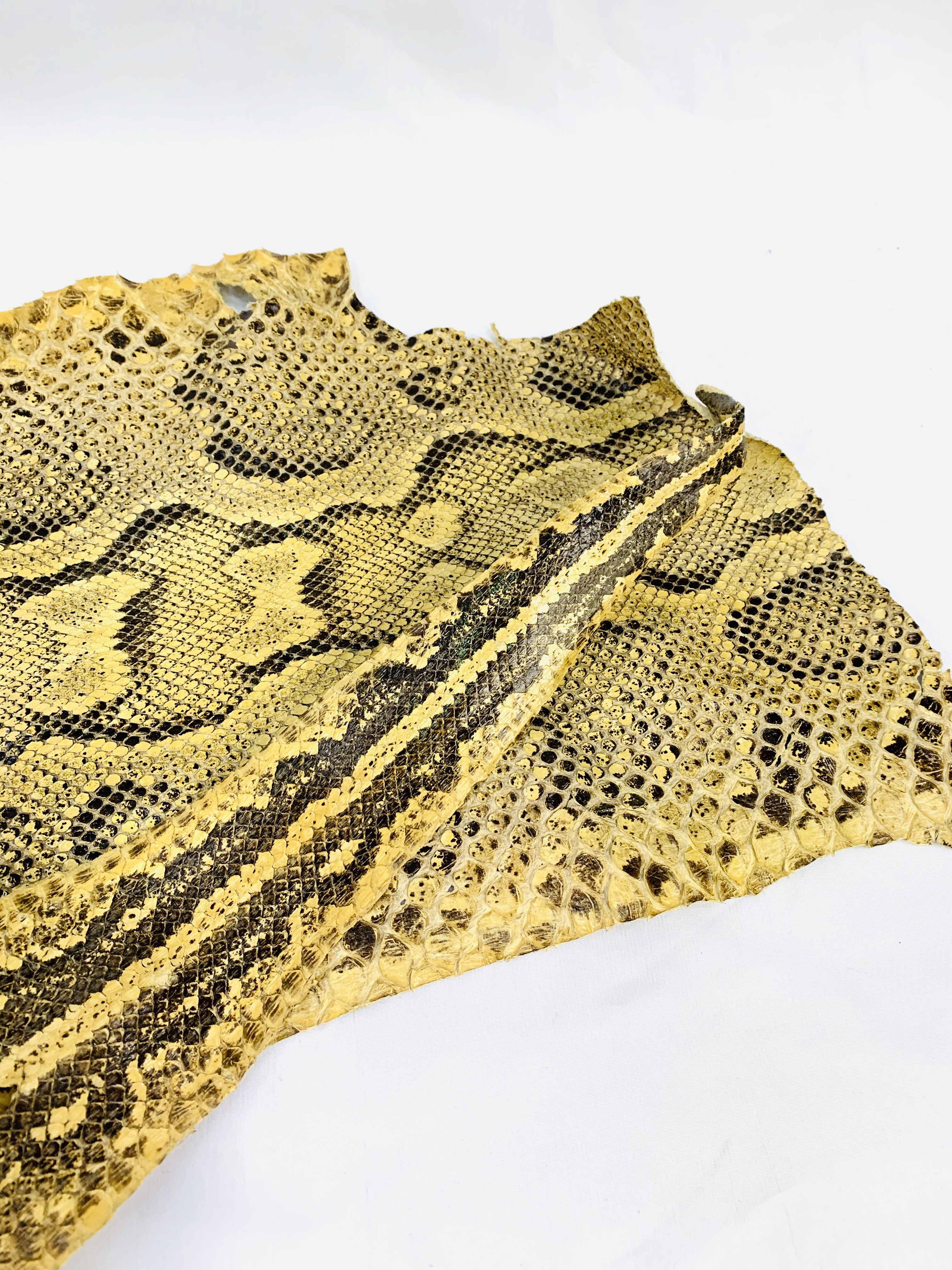 Three antique taxidermy python snake skins. - Image 3 of 3