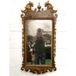 Chippendale walnut and carved gilt framed wall mirror.