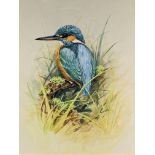 Pair of framed and glazed watercolours of birds signed R Timney: Finches and a Kingfisher.