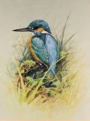 Pair of framed and glazed watercolours of birds signed R Timney: Finches and a Kingfisher.