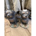 Two painted concrete Rottweiller dog figures, 47cms height.