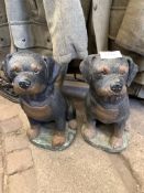 Two painted concrete Rottweiller dog figures, 47cms height.