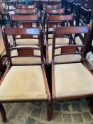 6 mahogany dinings chairs and 2 carvers.