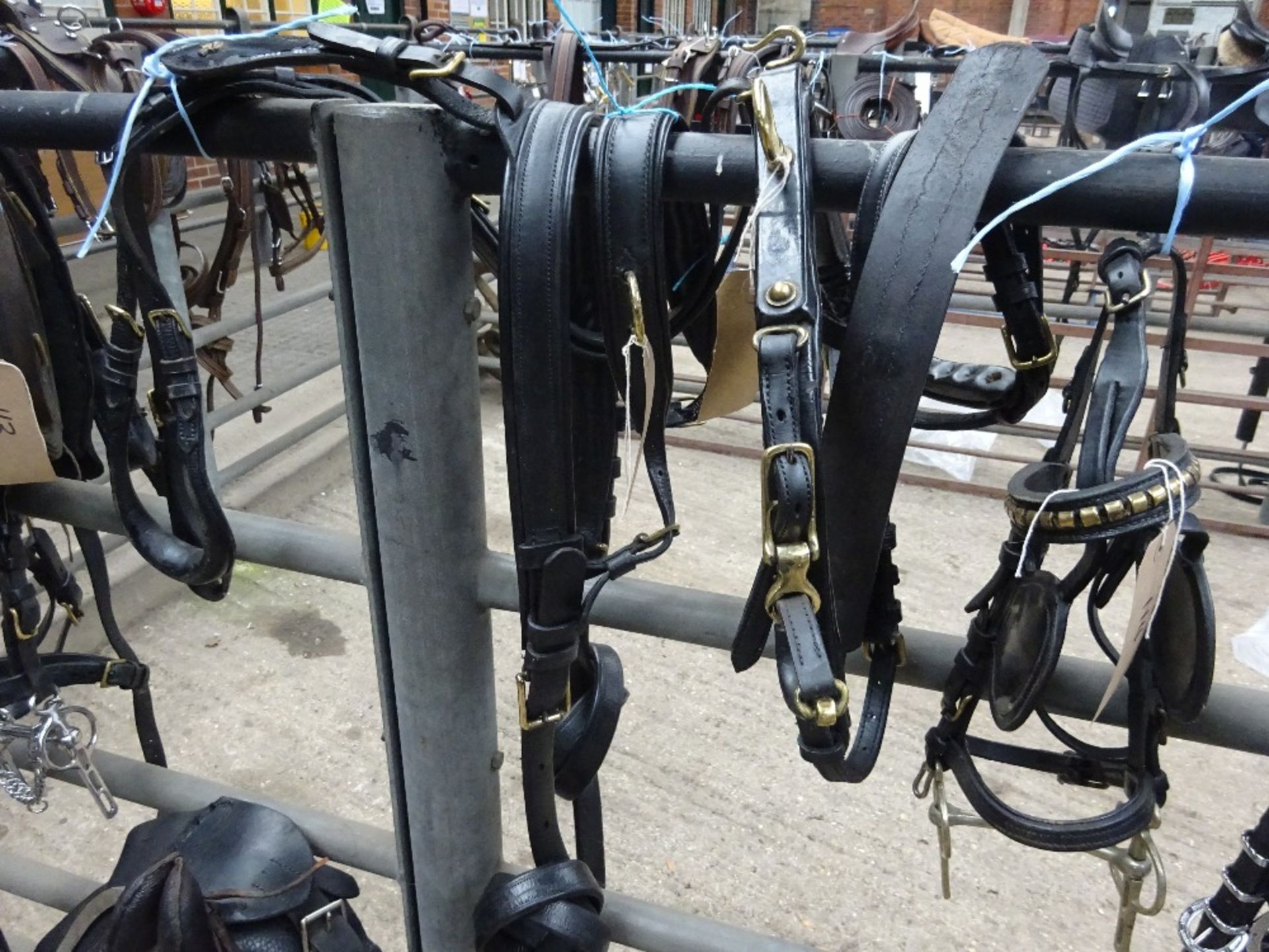 Set of black/brass English Hackney pony harness with Tilbury tugs - Image 2 of 2