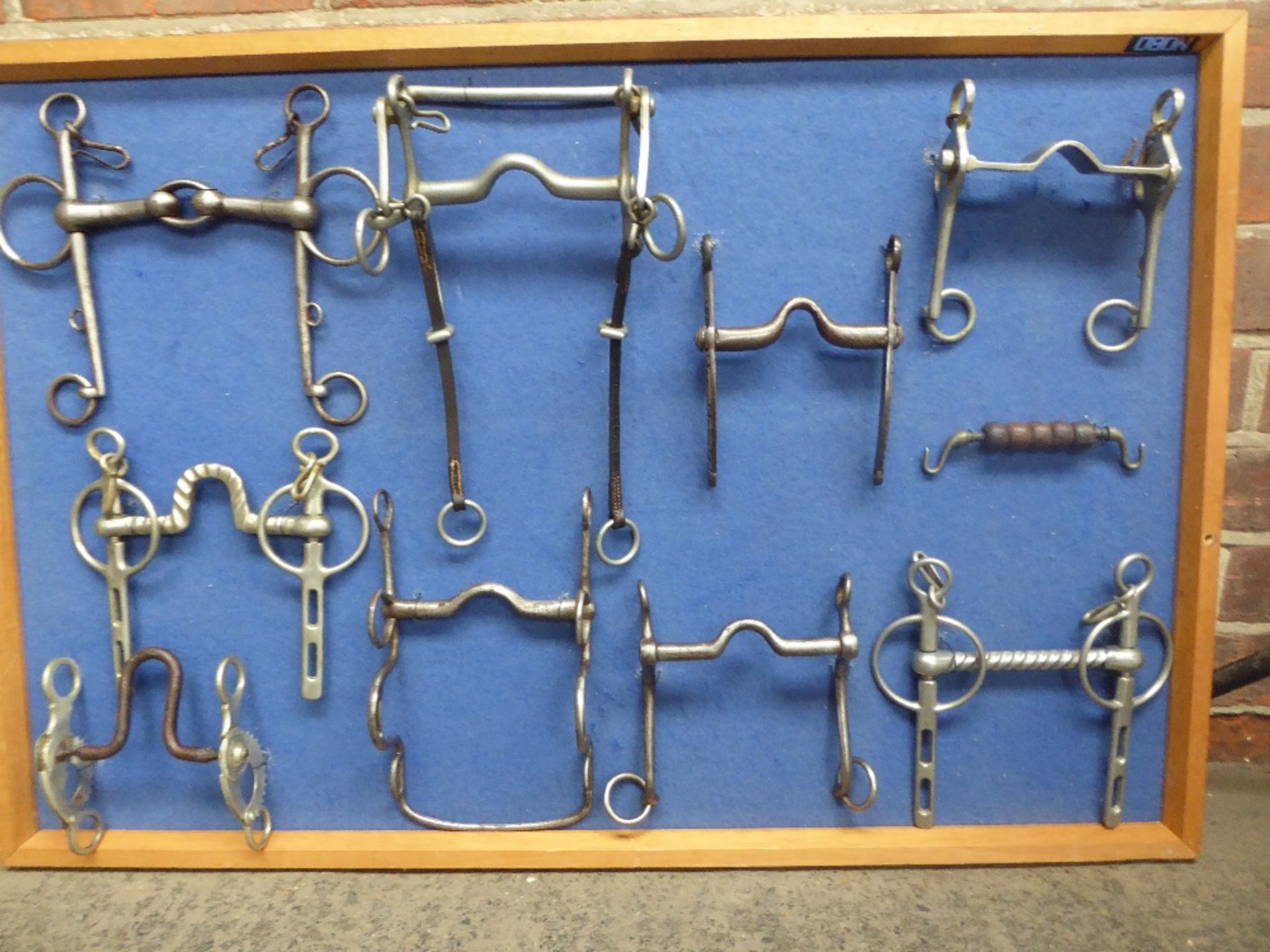 10 unusual horse bits mounted on a board