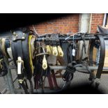 Set of working harness, collar size approx. 20 x 9 inches