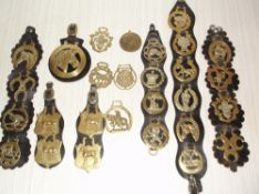 Assortment of horse brasses