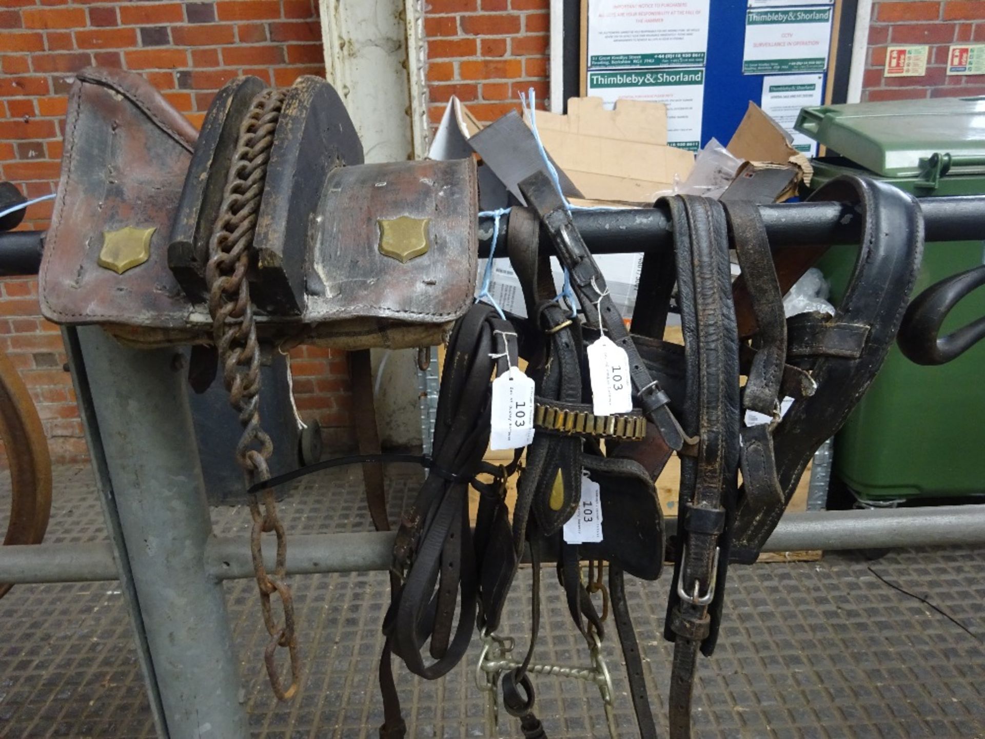 Set of donkey harness