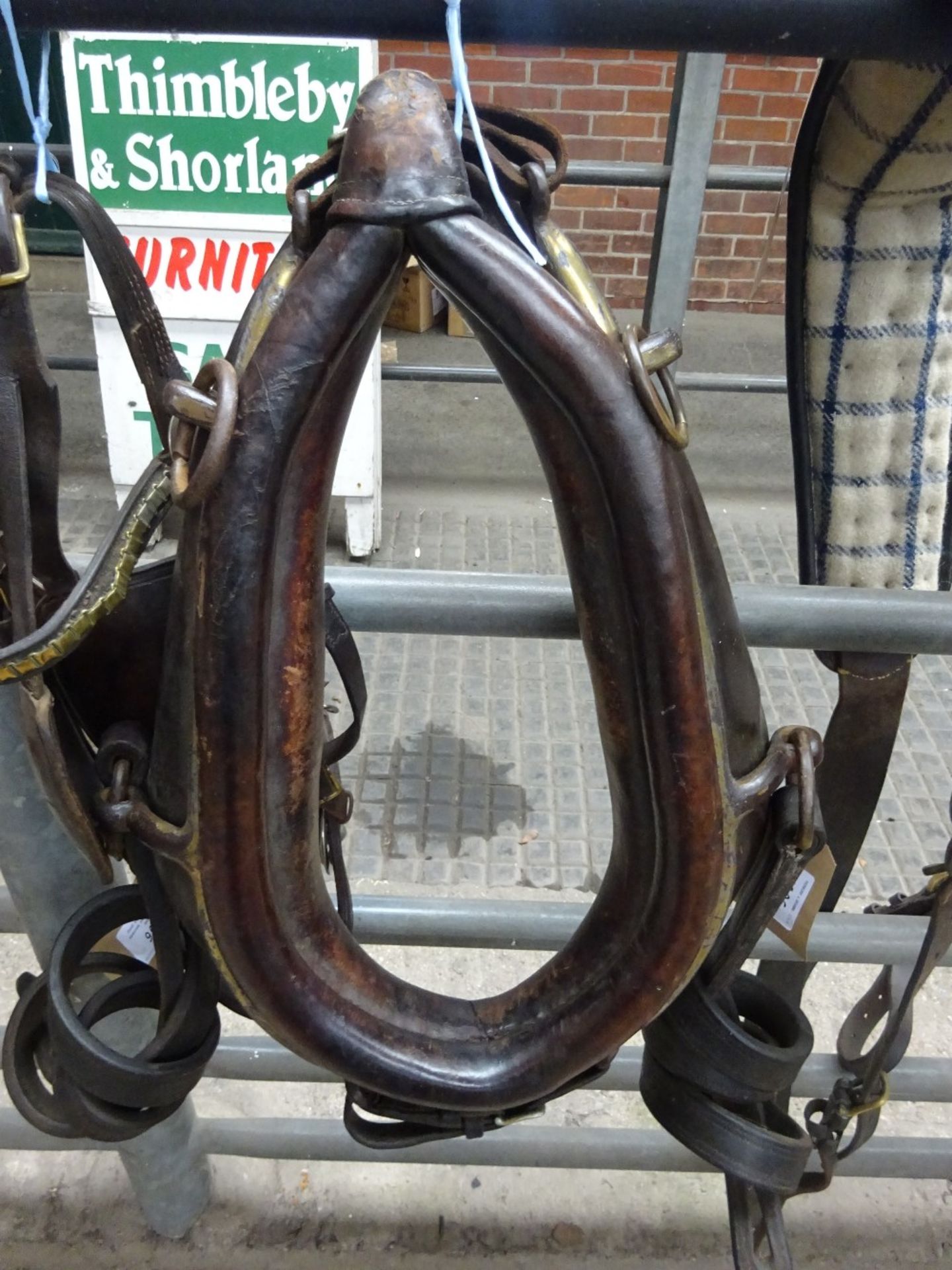 Set of brown leather/brass harness to fit a 14.2hh pony - Image 4 of 4