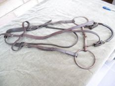 Vintage Rockwell citation bridle