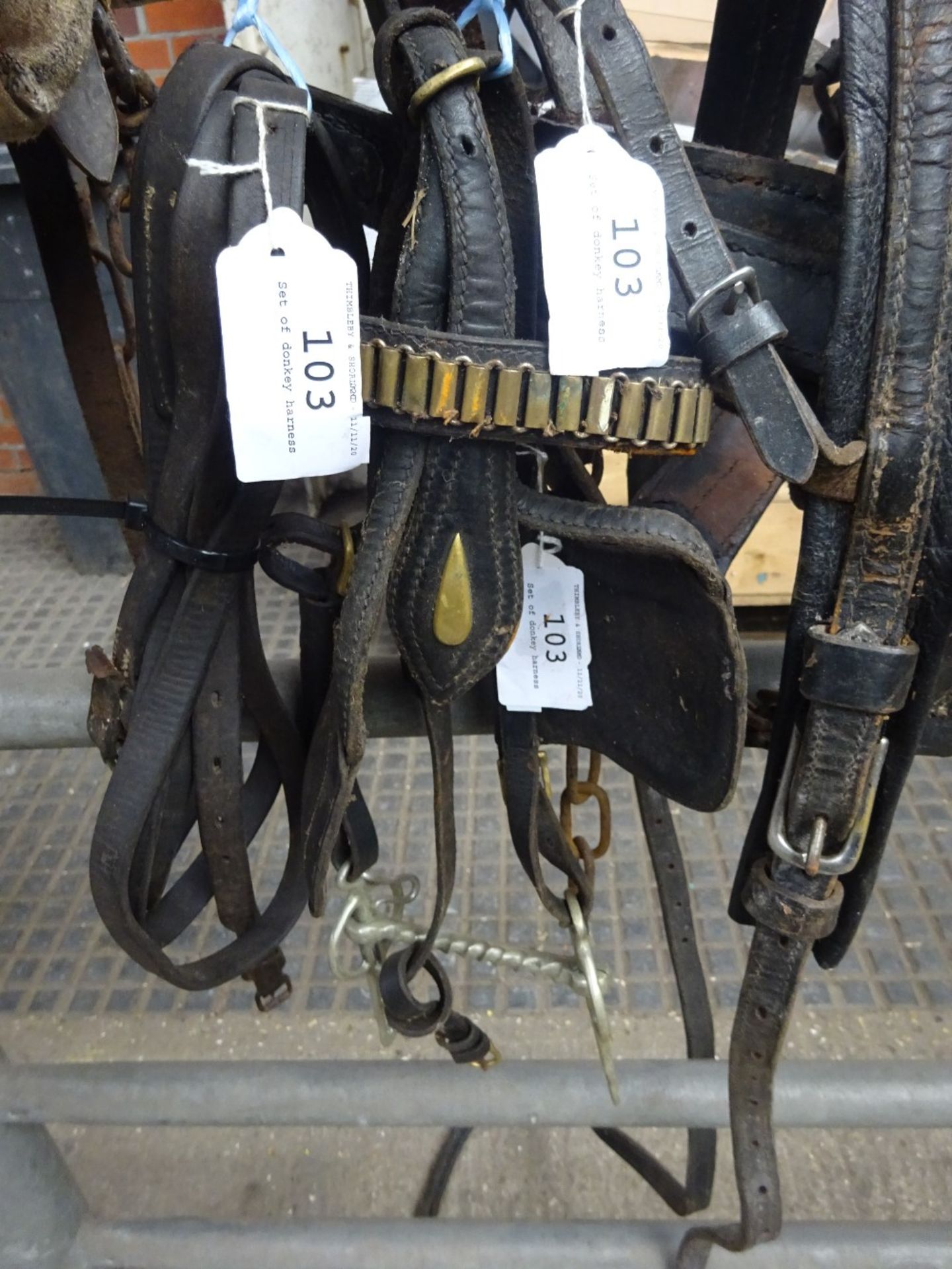 Set of donkey harness - Image 2 of 3