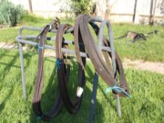 3 pairs of reins