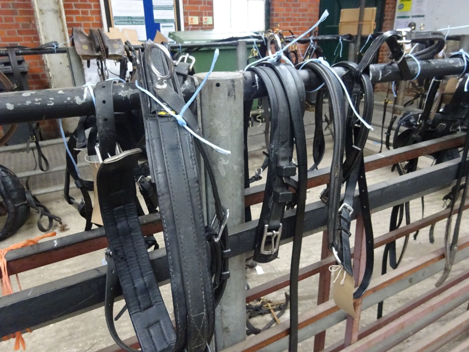 Set of Zilco harness for a small pony; 1 trace missing