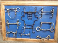 10 unusual horse bits mounted on a board