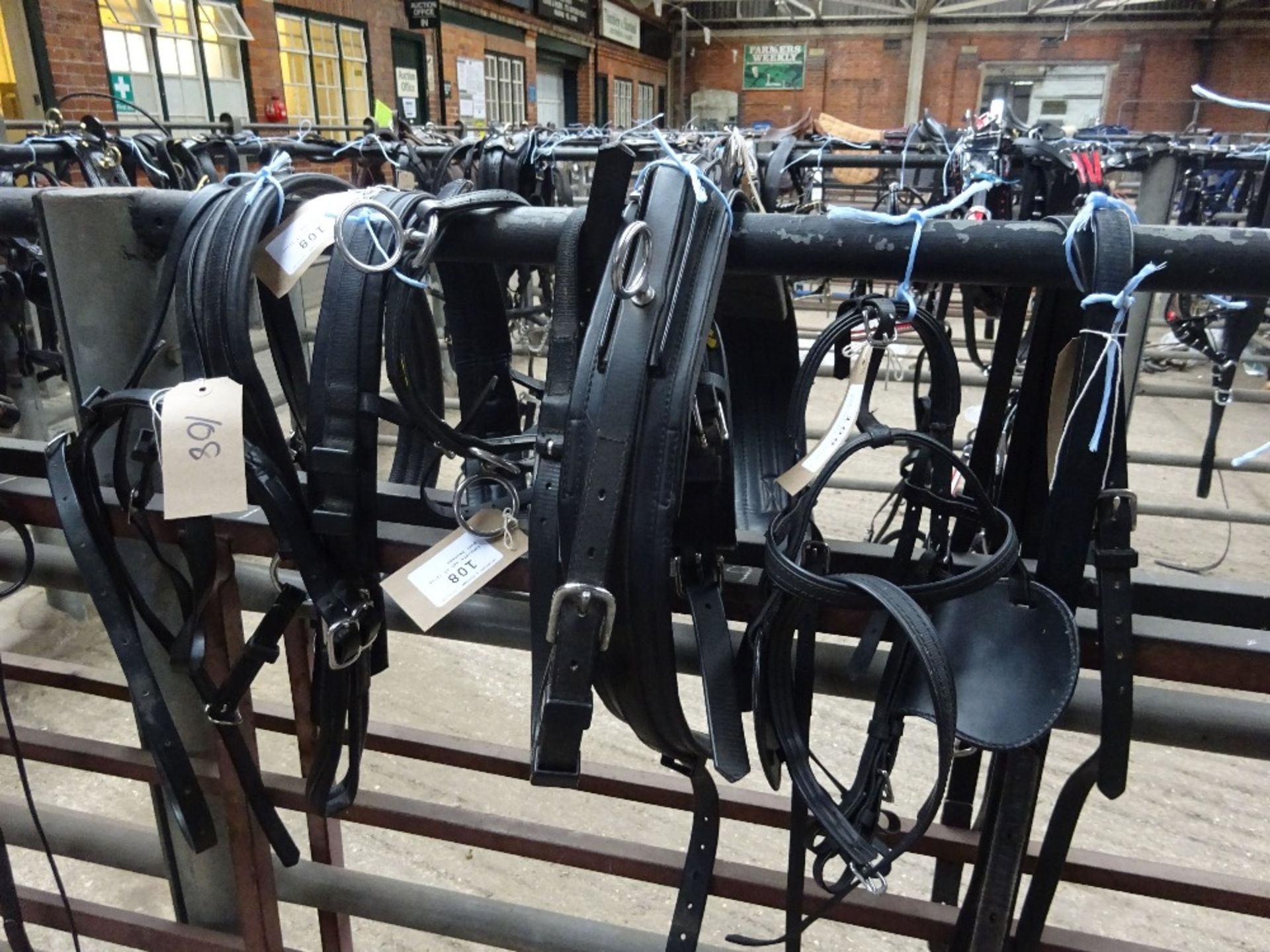 Complete set of Zilco pony harness - Bild 2 aus 2