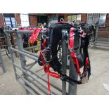 Set of black/red quick hitch pony size trotting harness