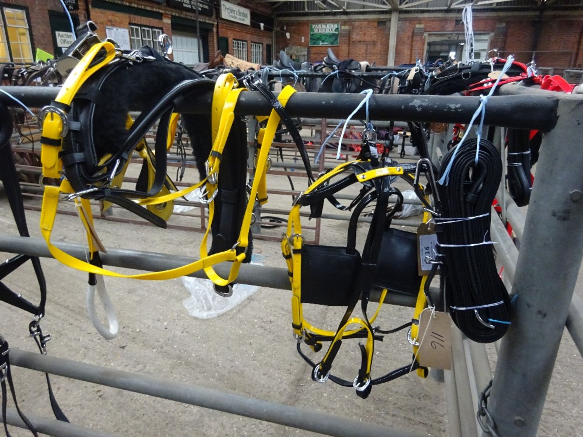 Set of black/yellow quick hitch cob size trotting harness - Image 2 of 2