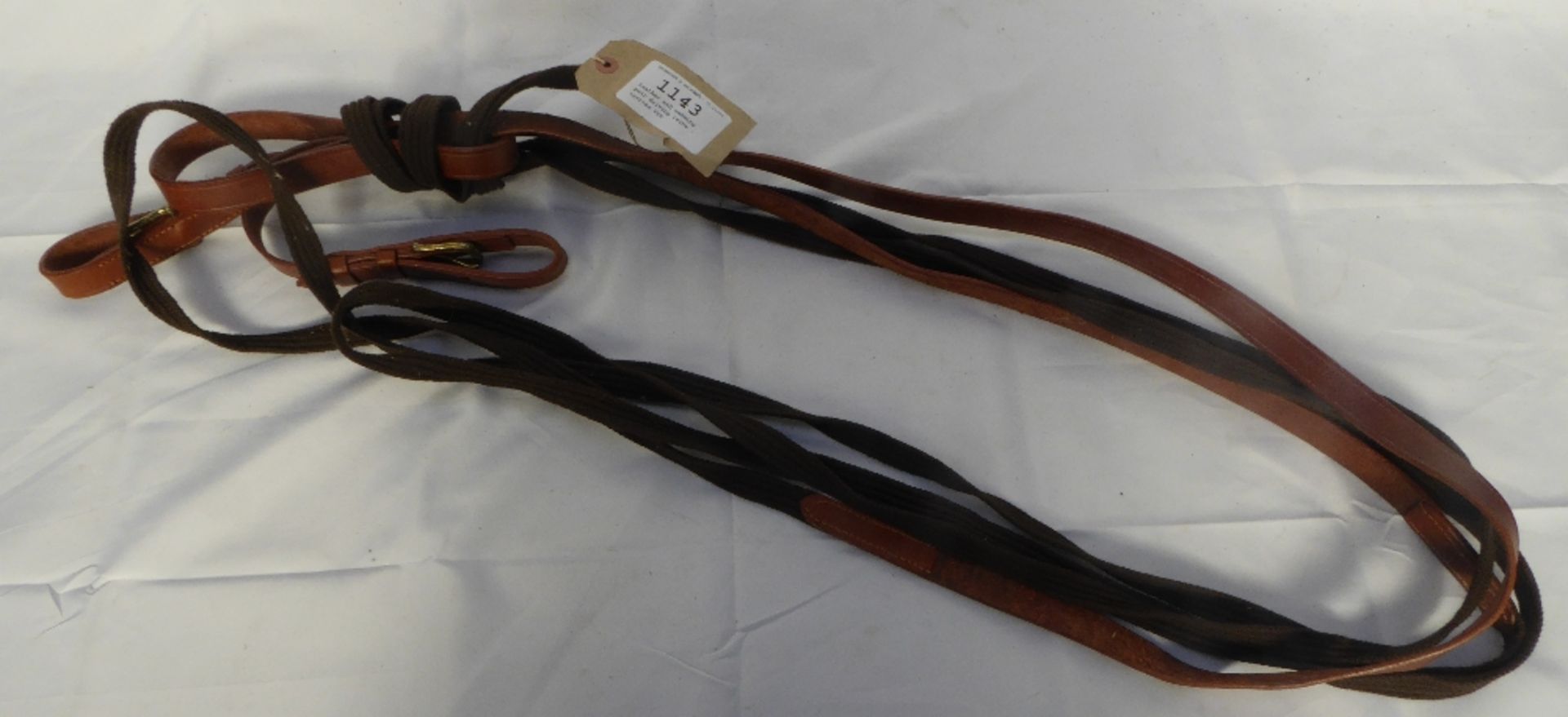 Leather and webbing pair driving reins - carries VAT