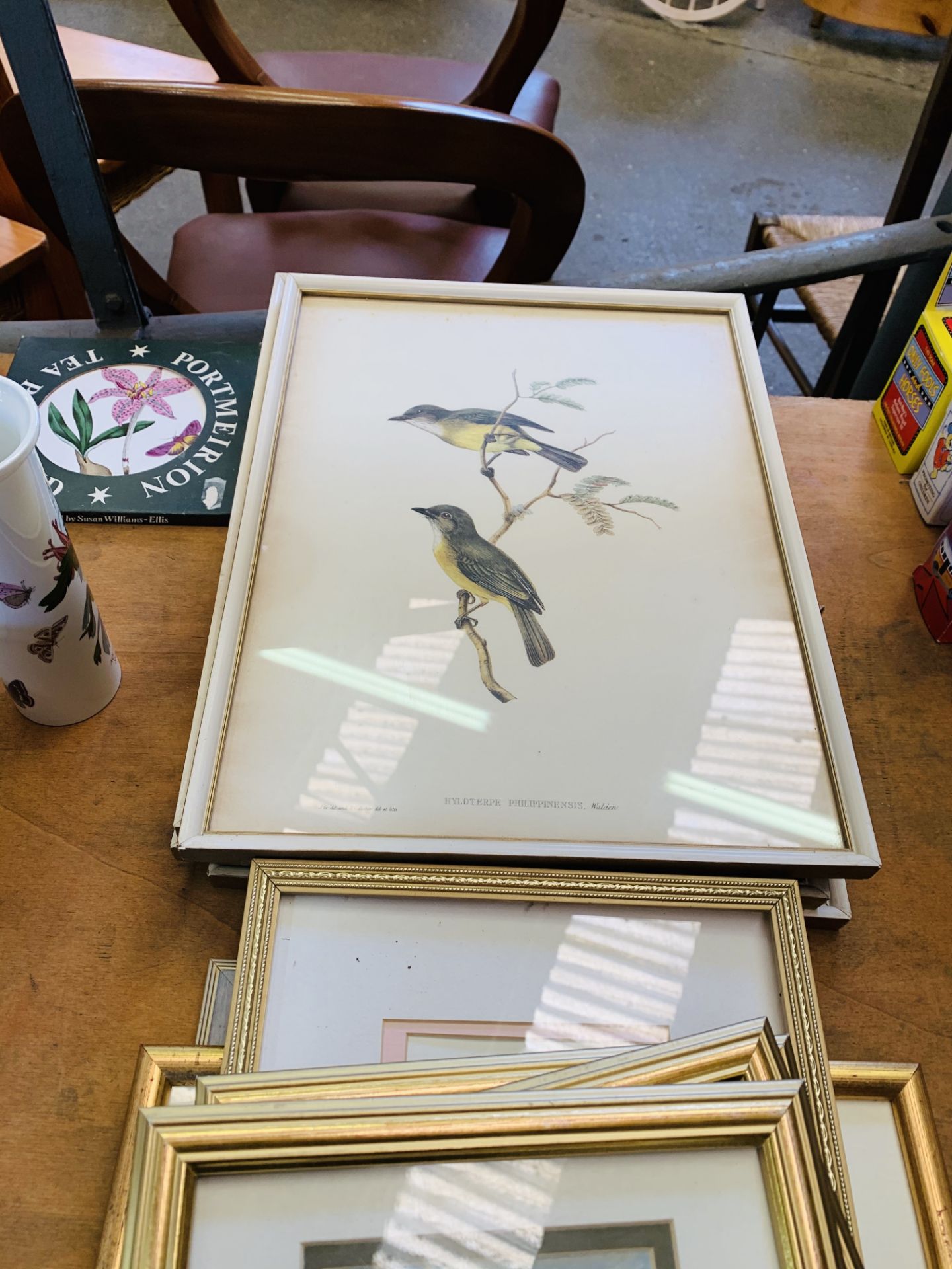 Four framed and glazed prints of birds, four limited edition framed and glazed prints - Image 3 of 3
