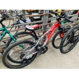 Trek MT220 Mountain Bike.