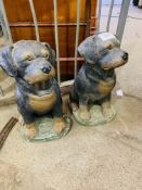 Two painted concrete Rottweiler puppies figures, 47cms height.