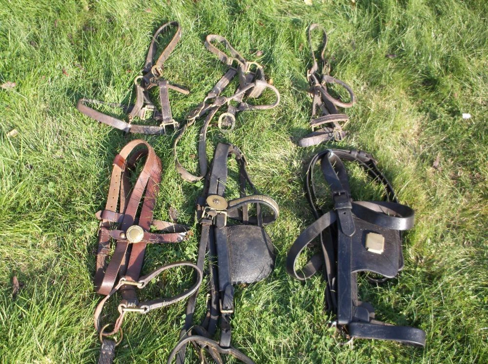 4 leather headcollars and 2 heavy horse bridles.